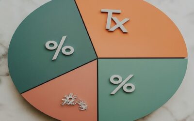 2024 Budget Breakdown: Your Money Edition